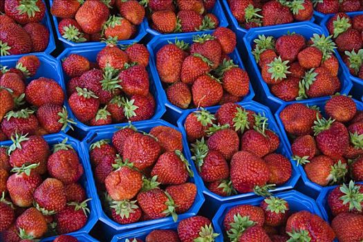 草莓,出售,市场货摊,市场,卑尔根,霍达兰,挪威
