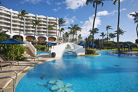 夏威夷,毛伊岛,费尔蒙特,食肉鹦鹉,酒店,游泳池,背景