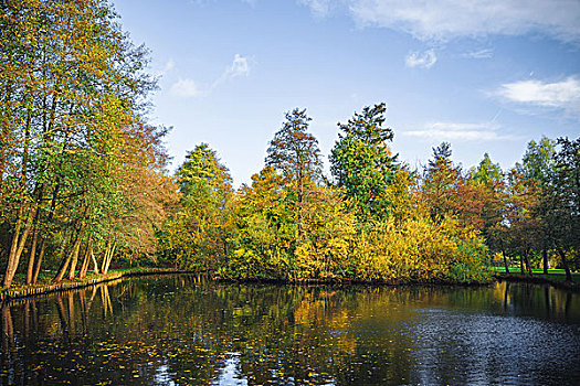 秋天风景,小,湖,围绕,树,秋色,反射,水,秋叶