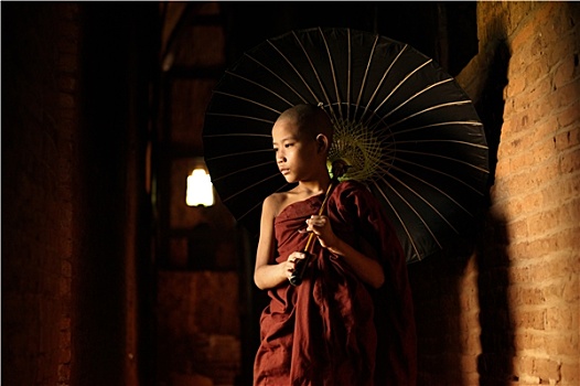 佛教,新信徒,走,伞