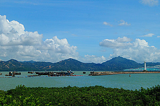 深圳蛇口海域风光