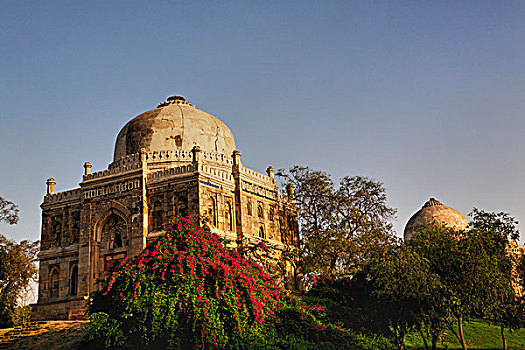 清真寺,花园,新德里,印度