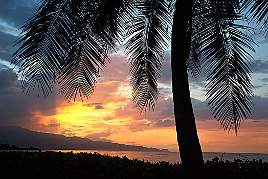 日落,北岸,毛伊岛,夏威夷,美国