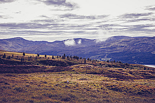 山地,风景,苏格兰