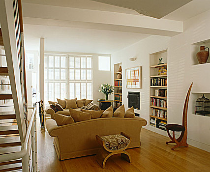 起居室,一对,沙发,现代,壁炉,书架