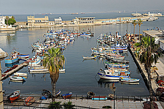 阿尔及利亚,阿尔及尔,老,港口
