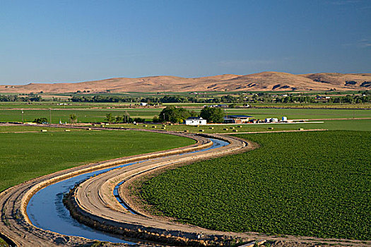 农田,灌溉,运河,靠近,俄勒冈,美国
