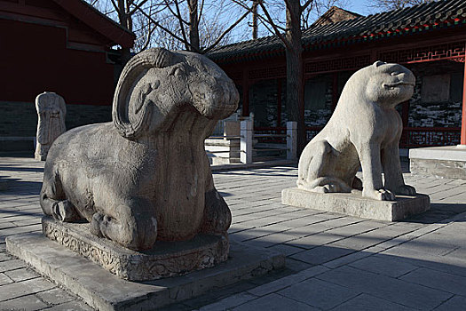 北京五塔寺石兽