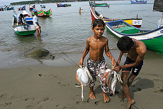 男孩,鱼,岸边,海滩,印度尼西亚,七月,2007年
