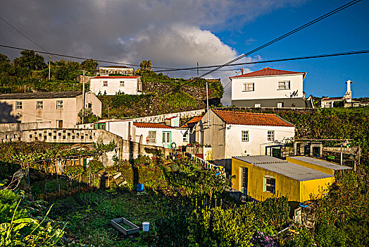 葡萄牙,亚速尔群岛,岛屿,大,沿岸,建筑