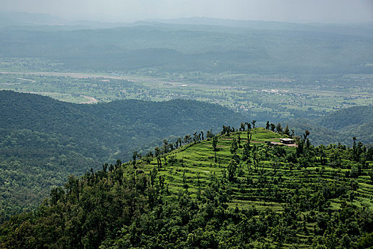 山,开端,平实,室外,北方,印度