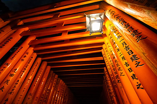 日本京都伏见稻荷大社千本鸟居夜景