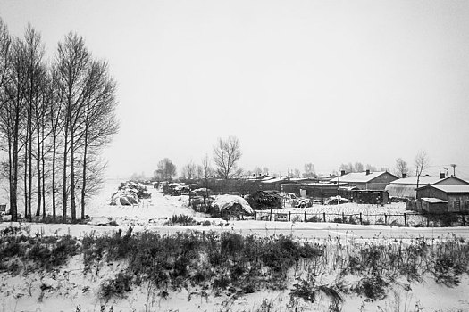 齐齐哈尔雪原