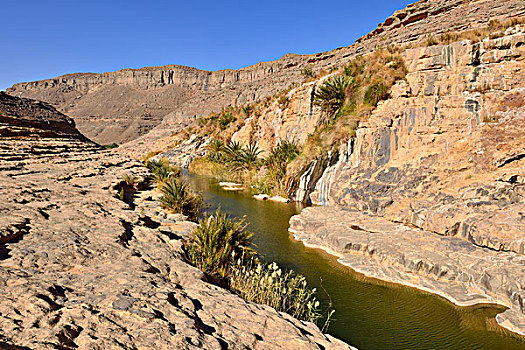 水,峡谷,阿杰尔高原,国家公园,阿尔及利亚,非洲