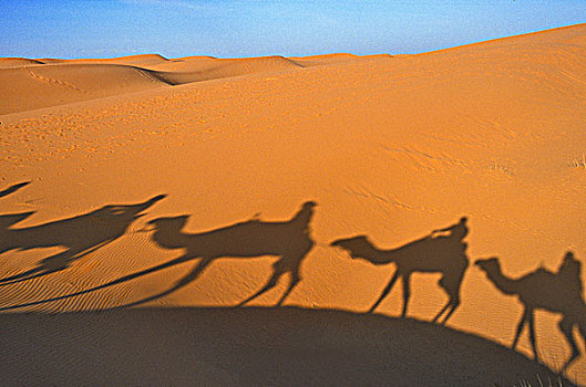 摩洛哥,梅如卡,沙丘