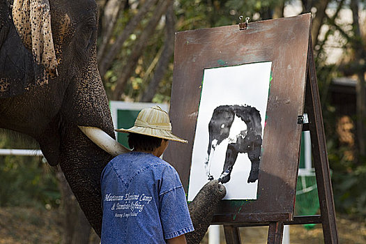 大象,绘画,清迈,泰国