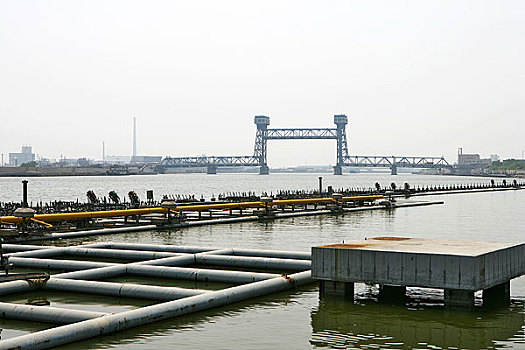 塘沽,海河,海门大桥,亚洲第3大可拉伸式桥