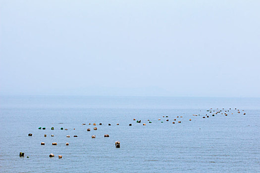 漂浮着塑胶泡沫的海面