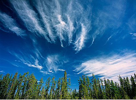 卷云,靠近,干草,河,加拿大西北地区,加拿大