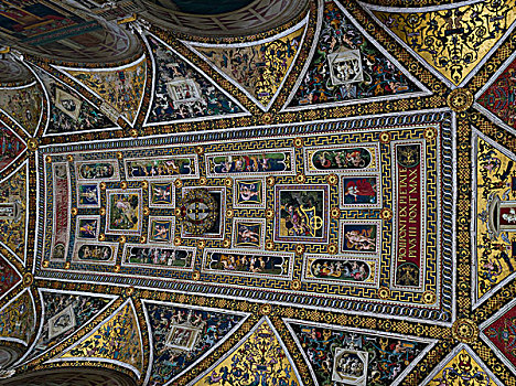 壁画,天花板,锡耶纳,大教堂,托斯卡纳,意大利