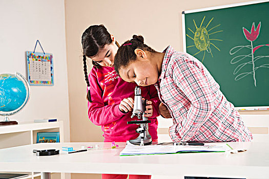 女孩,看,花,显微镜,教室,巴登符腾堡,德国