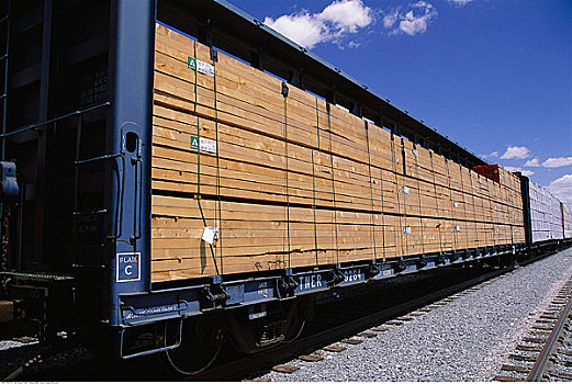 木头,货物,列车