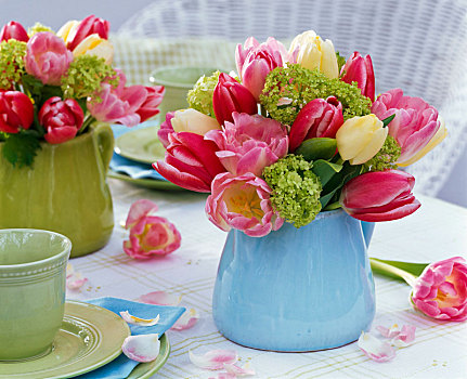 花束,郁金香属,荚莲属植物,蓝色,水罐