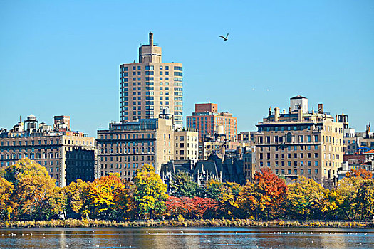 中央公园,曼哈顿,东方,奢华,建筑,上方,湖,秋天,纽约