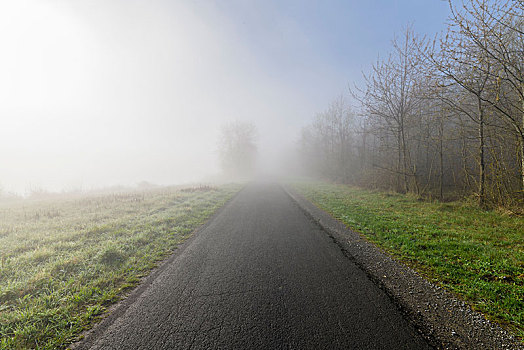 地点,道路,雾,春天,施佩萨特,弗兰克尼亚,德国