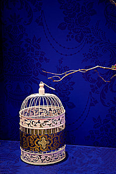 重庆婚博会上展示的鸟笼