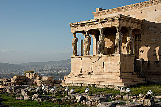 希腊,雅典,卫城,门廊,女像柱,雕刻,柱子,大幅,尺寸