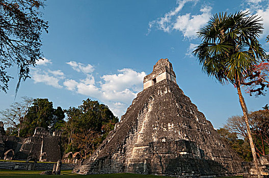 美洲虎金字塔,玛雅人遗址,危地马拉