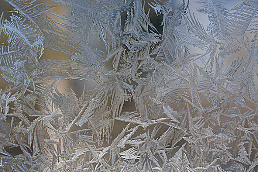 冰,霜,窗,东方镇,滑铁卢,魁北克,加拿大,北美