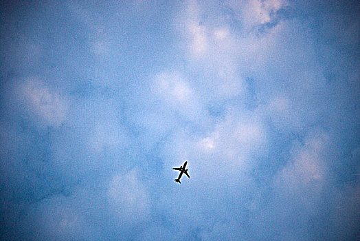 飞机,飞,生动,蓝天