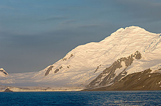 南极,南设得兰群岛,利文斯顿,岛屿,福尔斯湾,慈善,冰河
