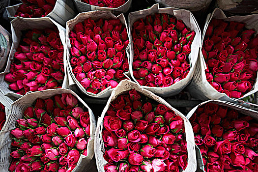 玫瑰,市场