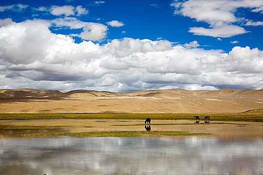 西藏日喀则,仲巴,马泉河