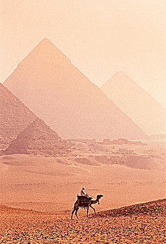 埃及,吉萨金字塔,大金字塔,骆驼,骑乘,黎明