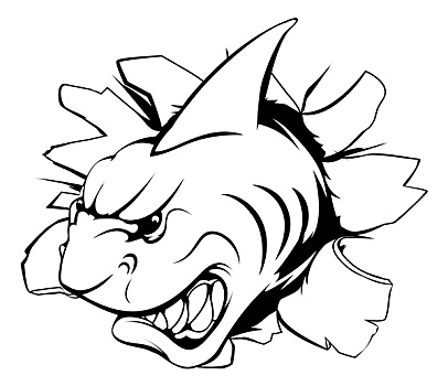 鲨鱼,头部,墙壁