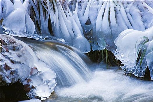 冬天,溪流,冰柱,峡谷,国家公园,中心,斯洛伐克,中欧