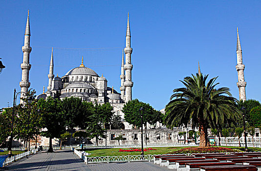 土耳其,伊斯坦布尔,市区,地区,藍色清真寺,清真寺,蓝色清真寺