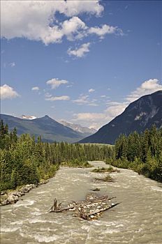 溪流,哥伦比亚山脉,罗布森山省立公园,不列颠哥伦比亚省,加拿大