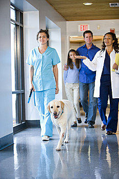 兽医,协助,走,狗,诊所,走廊,宠物主人,后面