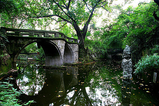 重庆鹅岭公园榕湖绳桥