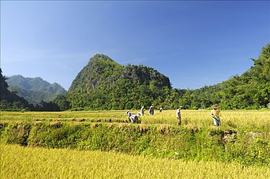 山峦,西北,泰国,清迈,亚洲