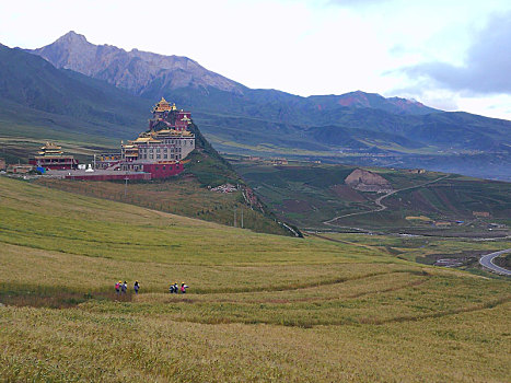 西藏,318,317线