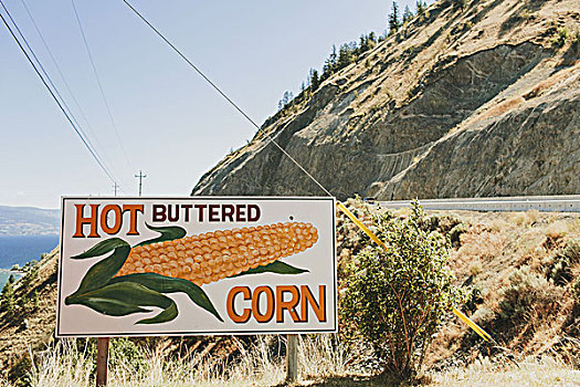 标识,路边,热,玉米,不列颠哥伦比亚省,加拿大