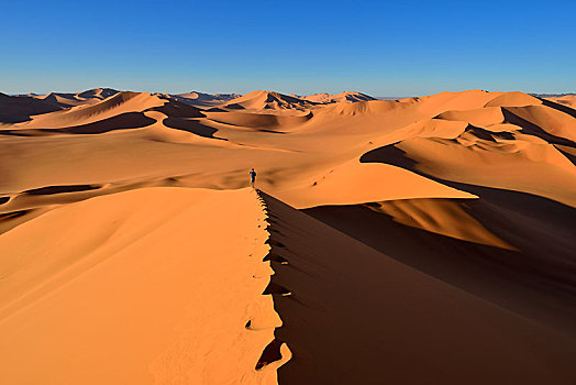 人,走,沙丘,撒哈拉沙漠,省,阿尔及利亚,非洲