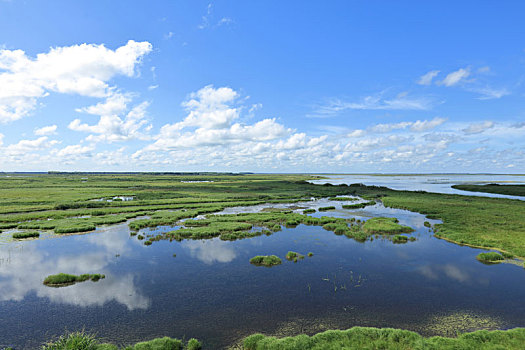 中国,秀美,雁窝岛,湿地