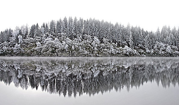 苏格兰,冬天,反射,洛蒙德湖